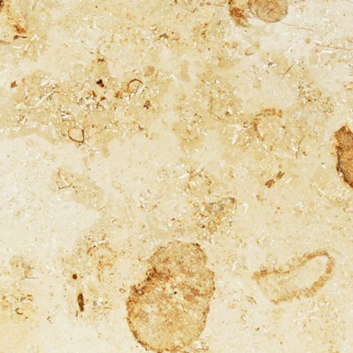 Jura Beige