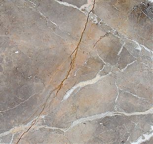 Etruscan Rose