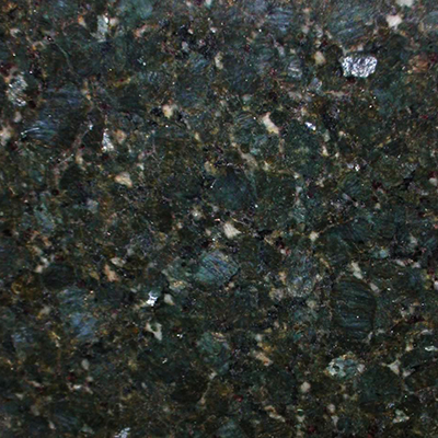Brazil butterfly green