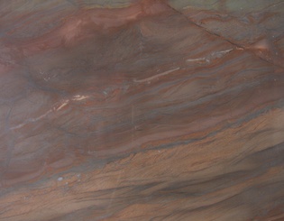Elegant brown