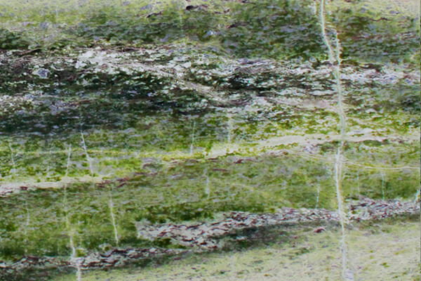 Irish Green Anticato