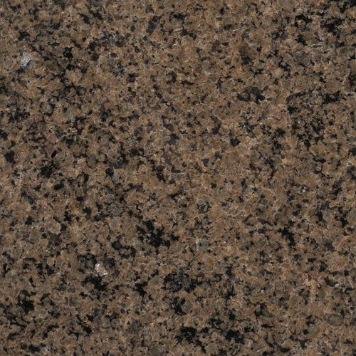 Tropical brown