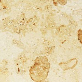 Jura Beige