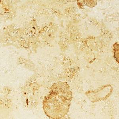 Jura Beige