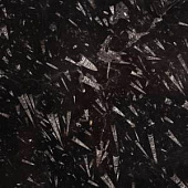 Fossile Nero