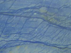 Azul macauba