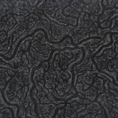 Cervello Nero