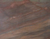 Elegant brown